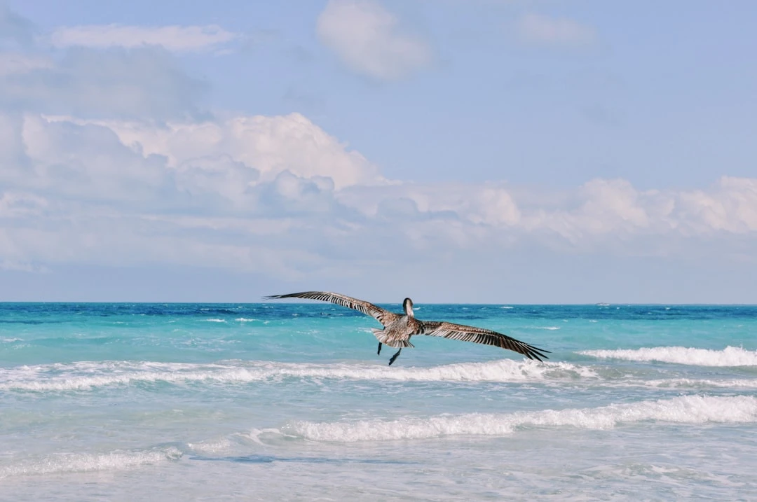 Bãi biển Varadero tuyệt đẹp ở Cuba