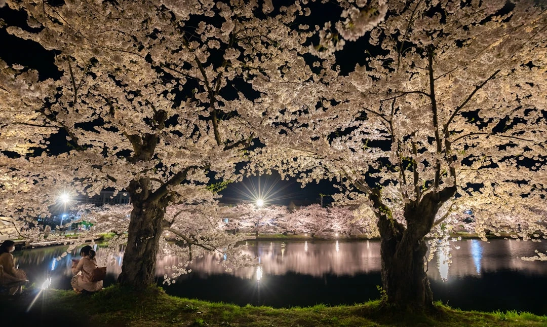 kham-pha-dia-diem-du-lich-aomori-duoi-goc-nhin-cua-mot-travel-blogger-day-dan
