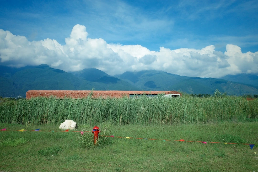 Điệu nhảy truyền thống Maasai