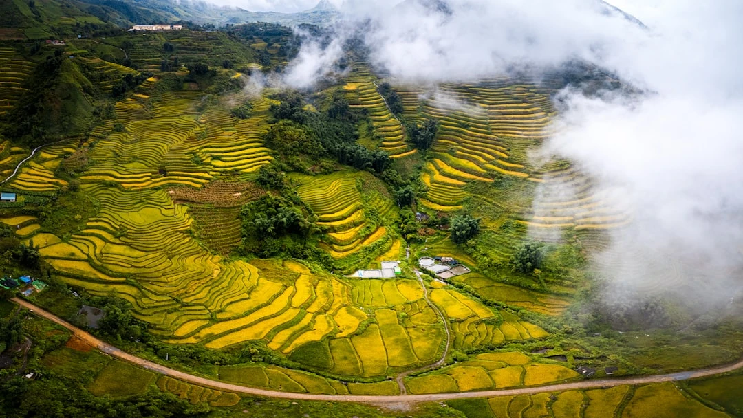 Hình ảnh Sa Pa tuyệt đẹp