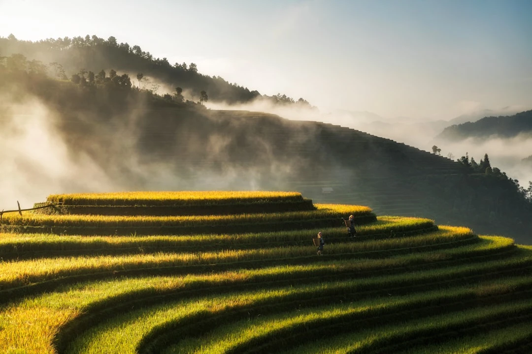 Hình ảnh trải nghiệm nông nghiệp miền quê