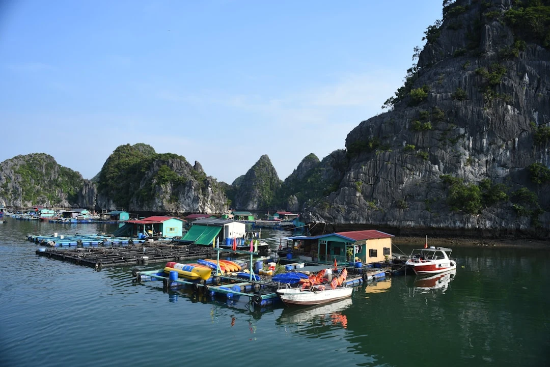 Hoạt động giải trí tại vịnh Hạ Long