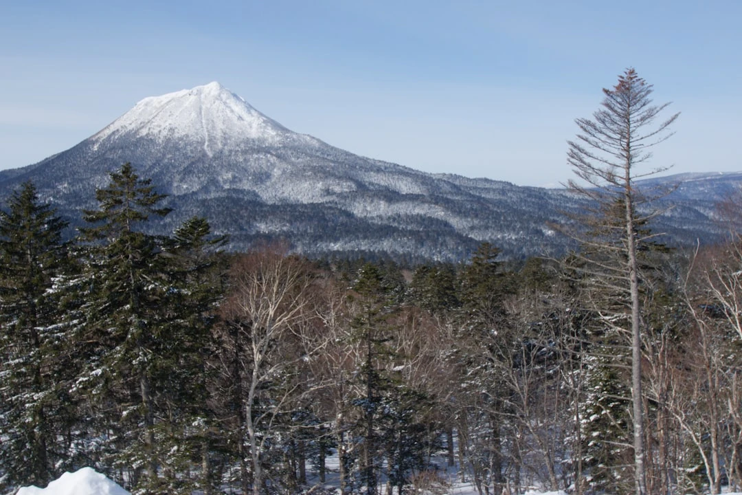 Phong cảnh Hokkaido mùa đông với tuyết dày đặc, lý tưởng cho du lịch