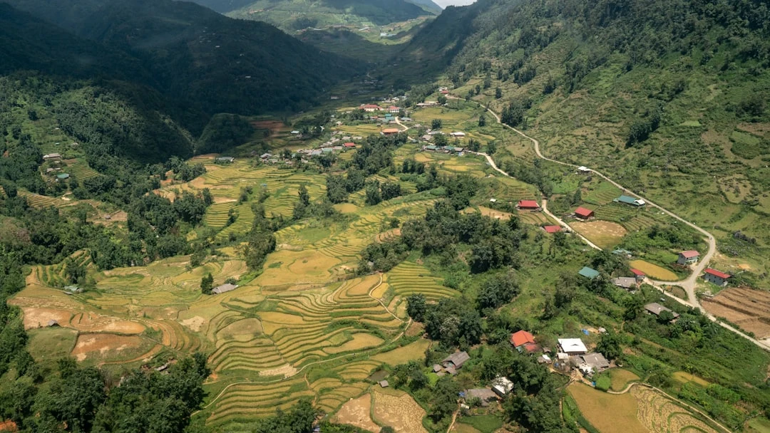 Ruộng bậc thang Sapa