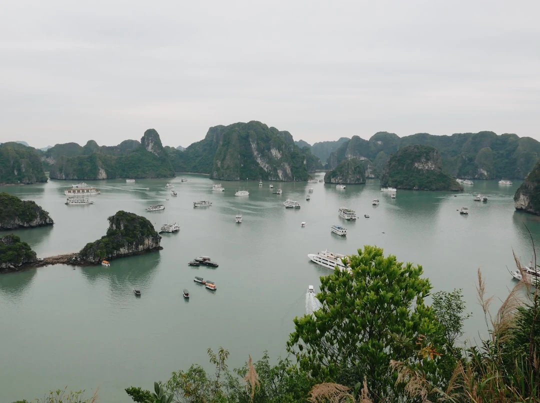 Trải nghiệm thực tế của du khách tại Hạ Long